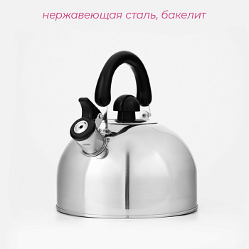Чайник со свистком Доляна «Чёрная ночь», 3 л, нерж сталь, хром/113320