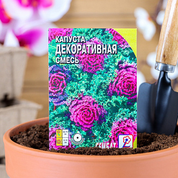 Семена цветов Капуста Декоративная, смесь, 40 шт /5464122