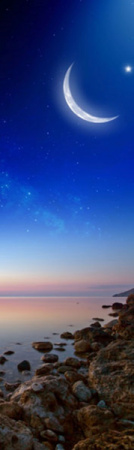 Магнит на холодильник 600*2000*0,4мм  №29