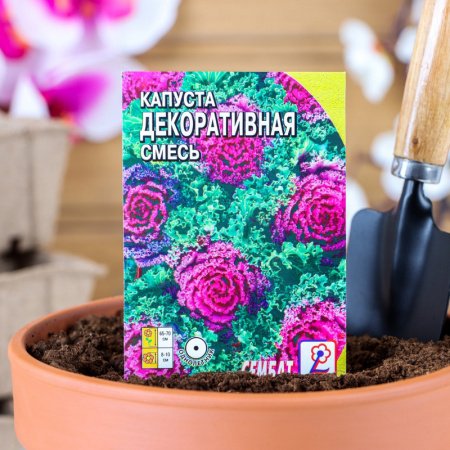 Семена цветов Капуста Декоративная, смесь, 40 шт /5464122