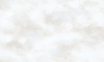 8718-10 (6) WallSecret Basic Обои горячего тиснения на флизелиновой основе 1,06*10,05