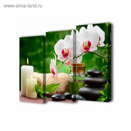 Модульный холст Орхидеи у свечей 150х100см -886635