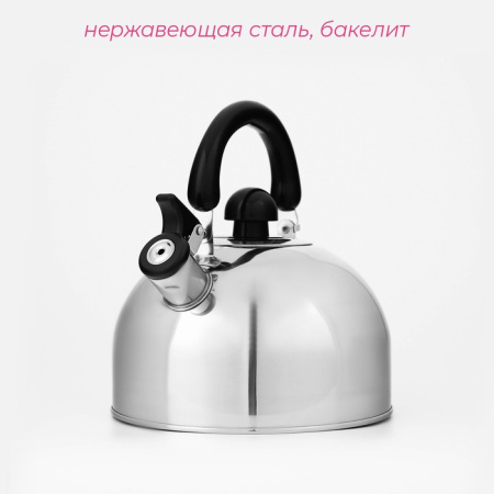 Чайник со свистком Доляна «Чёрная ночь», 3 л, нерж сталь, хром/113320