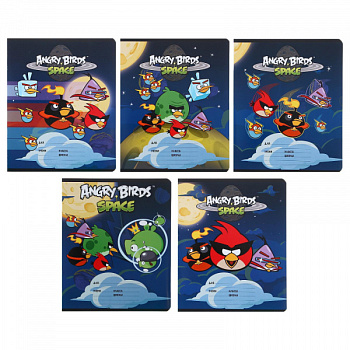 Тетрадь 12л. лин. ANGRY BIRDS 026925