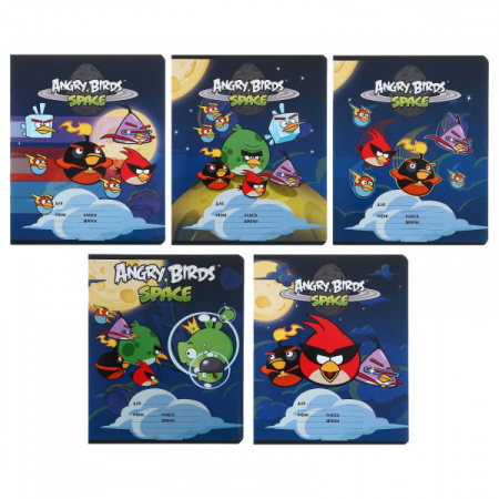 Тетрадь 12л. лин. ANGRY BIRDS 026925