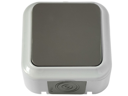 Выключатель 1 клав. (открытый, 6А, брызг. защ.) серый, Пралеска Аква