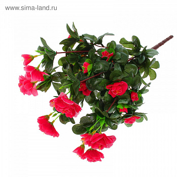 Букет "Азалия" (микс) 558277