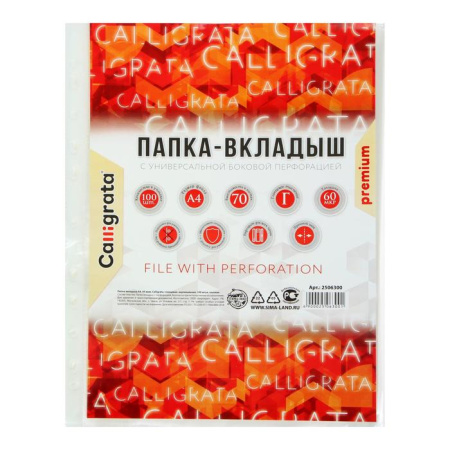 Файл - вкладыш Calligrata, А4, 60 мкм, плотный, глянцевый, вертикальный, 100 штук 2506300